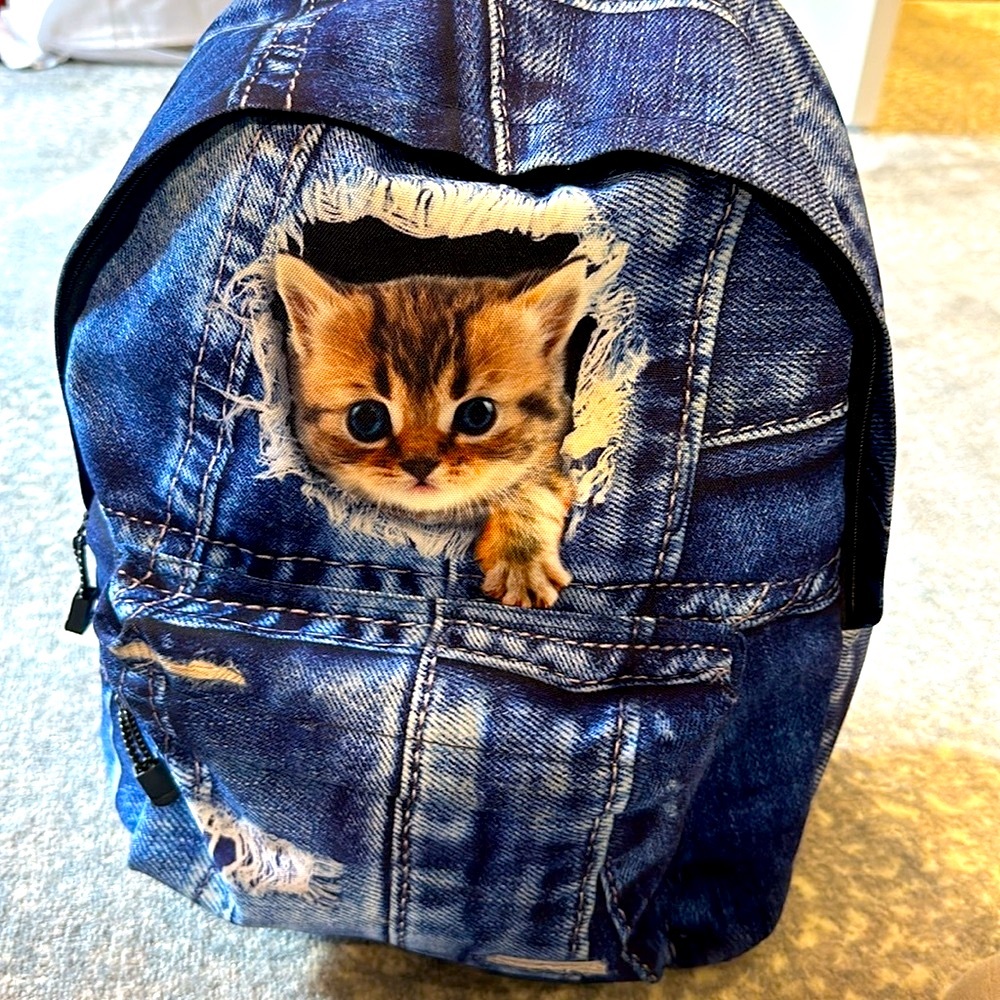 JBS-1 DENIM WITH KITTEN RIPPED LOOKING BACK PACK WITH SIDE WATER POCKETS ETC